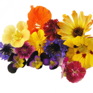 FLORES COMESTIBLES BANDEJA